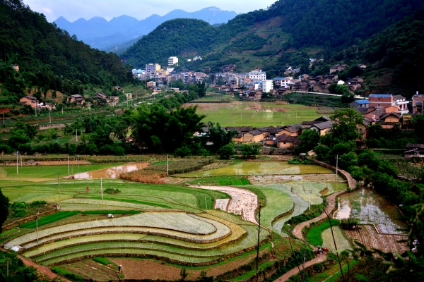 “三农”五线谱
