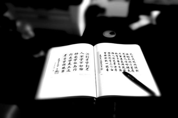 一本书  一支笔 带你领悟阅读风采