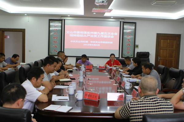 文山市贯彻落实州委九届五次全会精神推动从严治党工作座谈会 (2)