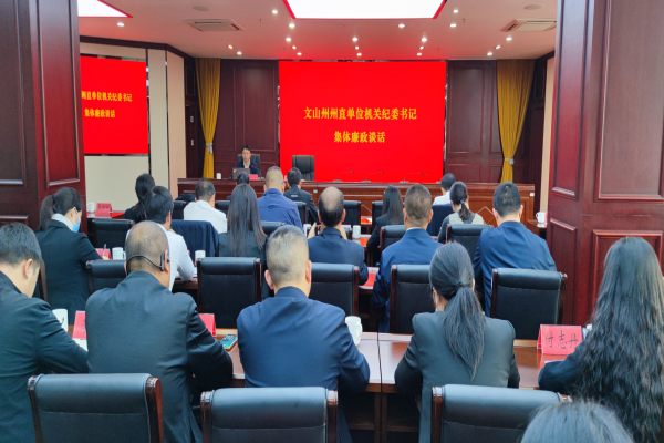 以高质量政治监督保障高质量发展