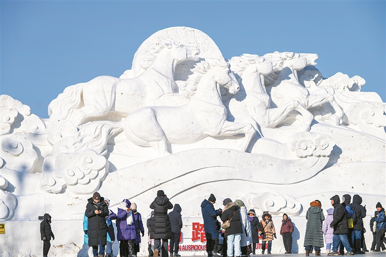 1767756783336022580.jpg W020260107238517896363.jpg