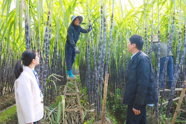 1767757666372023731.jpeg 5.jpeg