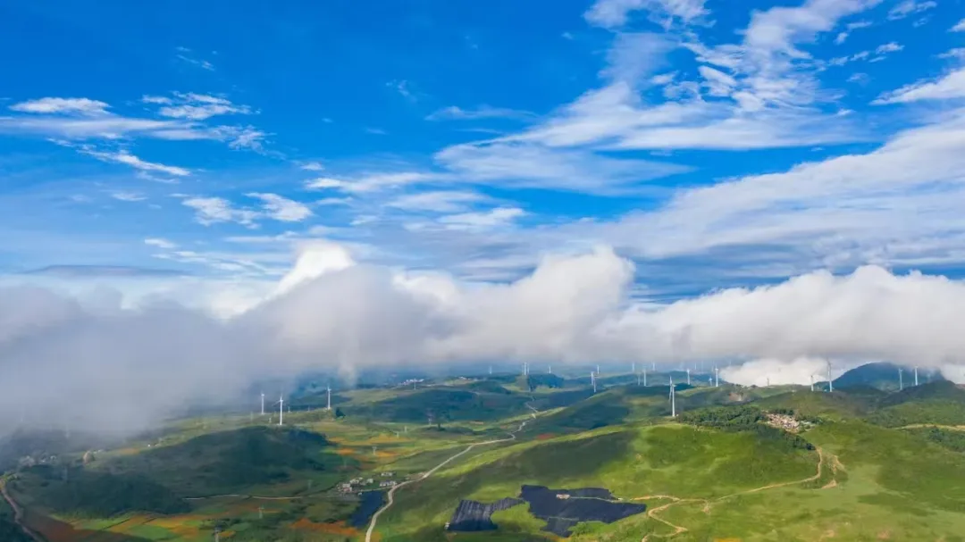 1767772138935032499.jpg 640.jpg