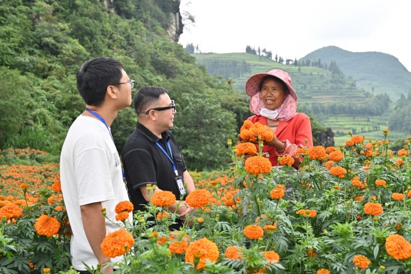 麻栗坡县.jpg