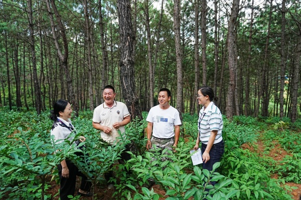 丘北县.jpg
