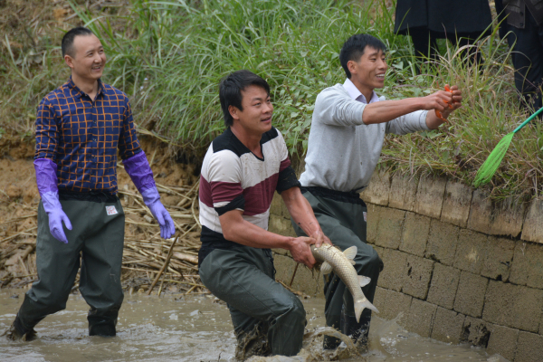 11.摸鱼大赛_编辑