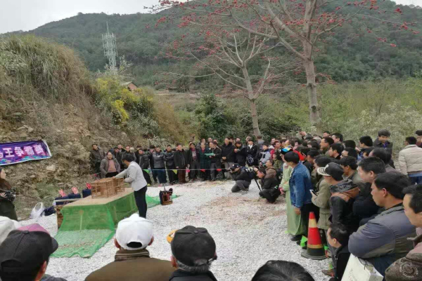 12.鸟王争霸_编辑