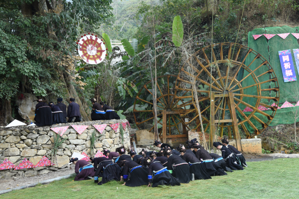 4.太阳树下祭拜_编辑