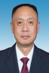 毕波